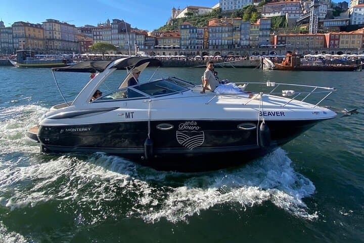 Private Douro River Cruise with Port Wine Tasting from Marina do Freixo