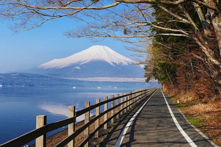 Private Day Trip to Mount Fuji & Fuji Five Lakes from Tokyo — Kawaguchiko Cruise & Chureito Pagoda Views photo 4