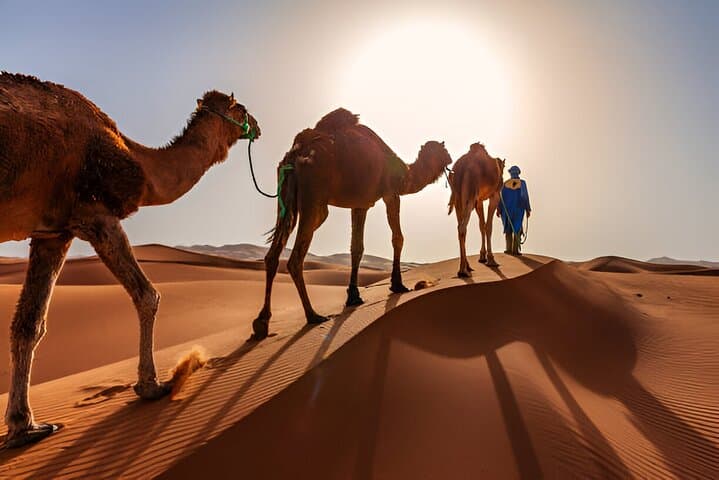 6-Day Private Desert Adventure: Tangier to Marrakech via Merzouga photo 2