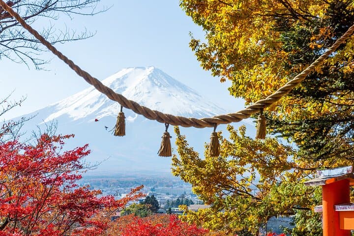 Private Day Trip to Mount Fuji & Fuji Five Lakes from Tokyo — Kawaguchiko Cruise & Chureito Pagoda Views photo 5