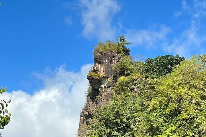 Gorilla Rock Hike: Chauncey Viewpoint Trek in St. Vincent