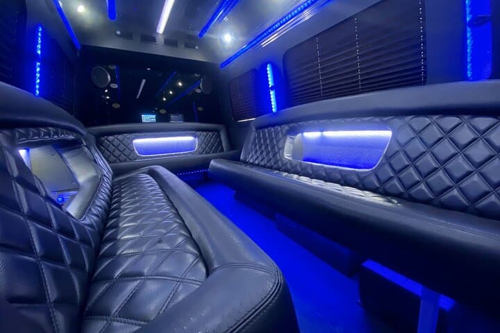3-Hour Party Bus Rental in Charleston: Private Night Out with Chauffeur photo 1