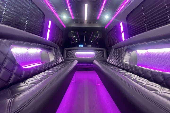 3-Hour Party Bus Rental in Charleston: Private Night Out with Chauffeur photo 3