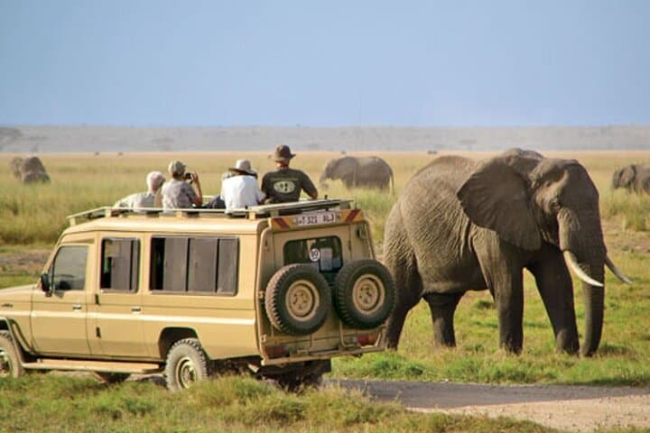 7-Day Cape Town, Johannesburg & Kruger Safari: Table Mountain to Big Five photo 4