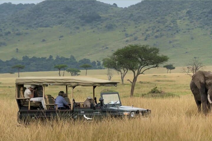 Half-Day Safari to Hluhluwe-iMfolozi: Big Five Game Drive from Richards Bay photo 3