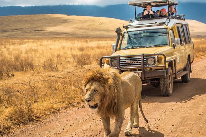 4-Day Kruger & Blyde River Canyon Safari from Johannesburg — Big Five and Panorama Route photo 3