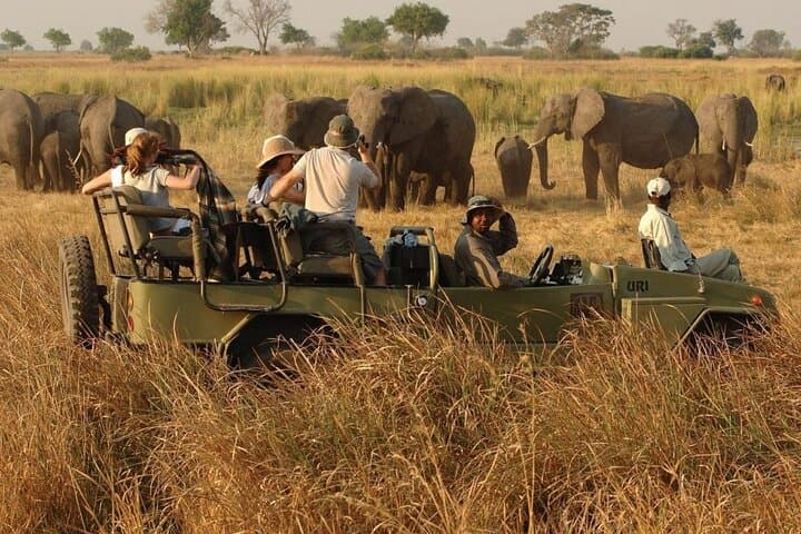 Half-Day Safari to Hluhluwe-iMfolozi: Big Five Game Drive from Richards Bay photo 2