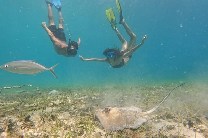 St. John Snorkel Tour from Sapphire & Margaritaville — 6‑Hour Powerboat Adventure photo 3