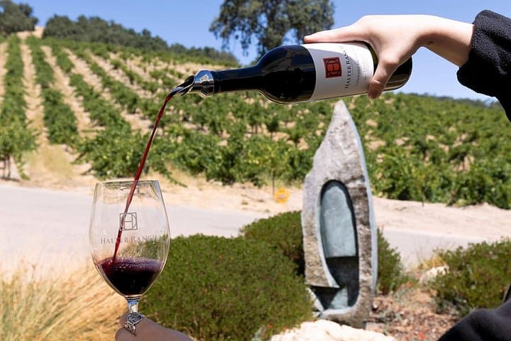 3-Winery Paso Tour from San Luis Obispo — Picnic Lunch & Tasting Fees Included photo 4