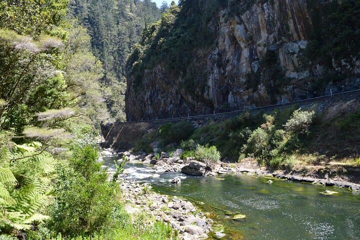 2-Day Private Coromandel Peninsula Highlights Tour from Hamilton photo 4