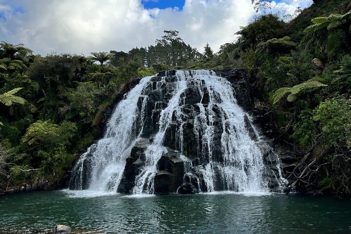 2-Day Private Coromandel Peninsula Highlights Tour from Hamilton photo 5