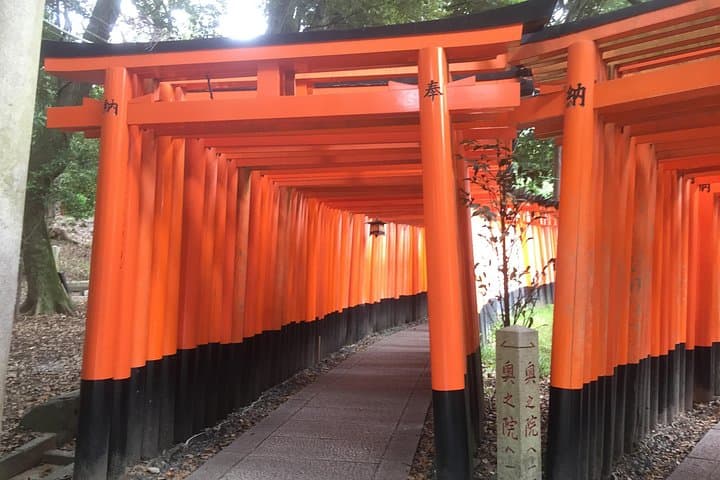 Fushimi Inari Half-Day Guided Climb — Torii Gates, Shrine History & Kyoto Views