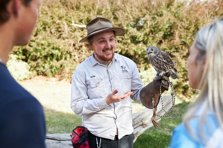 Private Day Tour: Phillip Island Wildlife & Brighton Beach Boxes from Melbourne photo 6