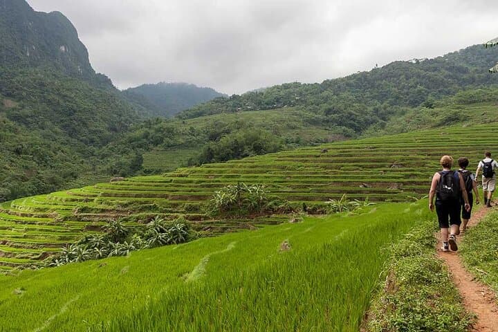 3-Day Pu Luong & Ninh Binh Trip from Hanoi — Rice Terraces, Caves & Trang An photo 2