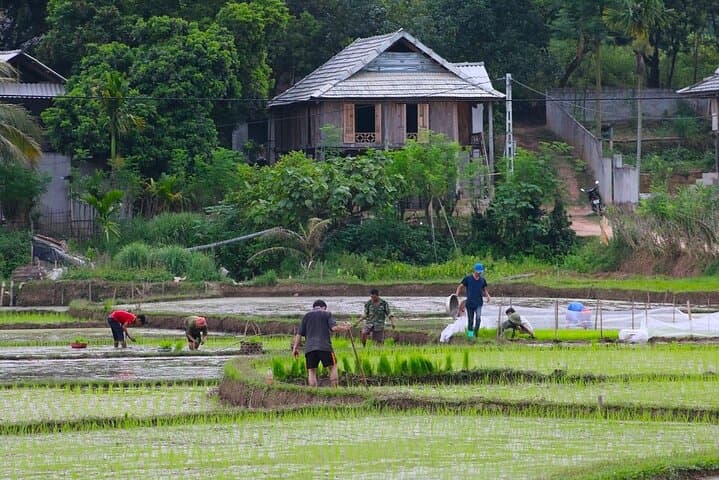Mai Chau by Bicycle: Full-Day Cycling & Cultural Tour from Hanoi photo 6