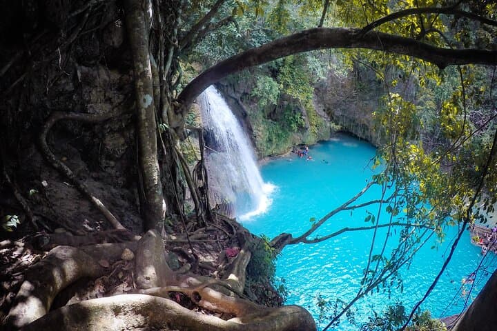 Kawasan Falls Canyoneering from Moalboal: Full-Day Waterfall Adventure photo 5