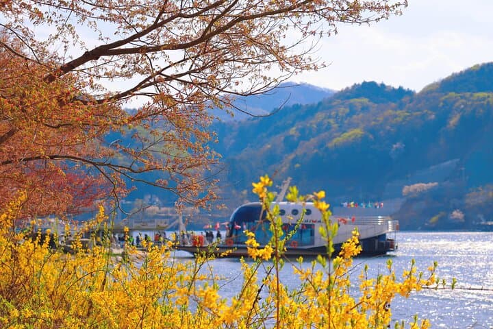 Nami Island, Petite France & Italian Village Day Trip from Seoul — Highlights and Tips photo 3