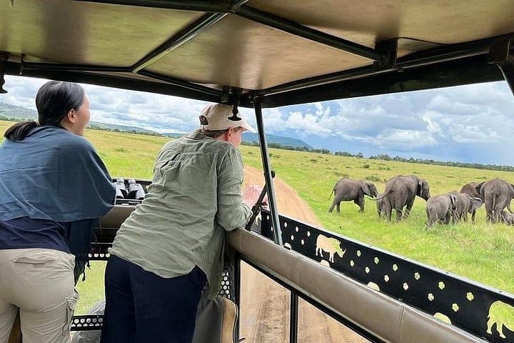 6-Day Rhino Conservation Safari: Solio, Aberdare & Ol Pejeta in Kenya photo 3