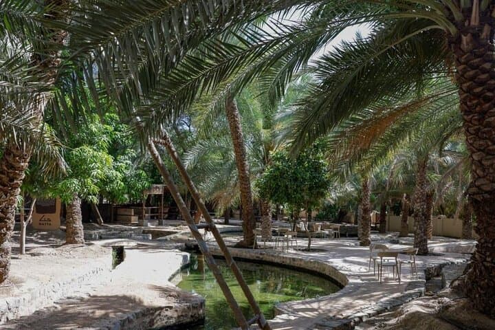 Hatta Mountain Tour: Horse Riding, Hatta Dam Views & Lunch from Dubai photo 5