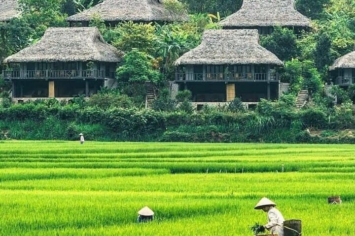 Mai Chau by Bicycle: Full-Day Cycling & Cultural Tour from Hanoi photo 5