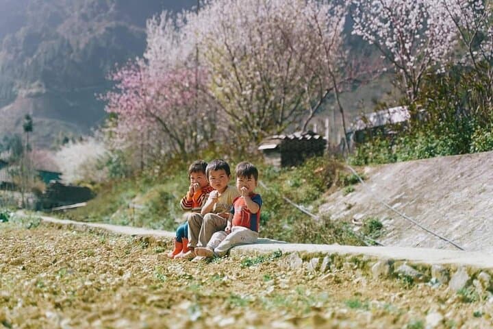Ha Giang Scenic Motorbike Loop: 3-Day Guide to Ma Pi Leng, Dong Van & Nho Que photo 3