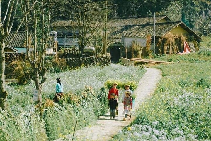 Ha Giang Scenic Motorbike Loop: 3-Day Guide to Ma Pi Leng, Dong Van & Nho Que photo 4