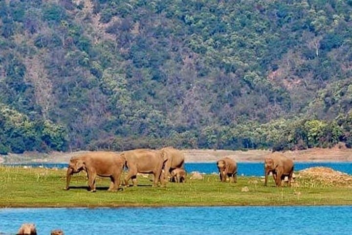 3-Day Taj Mahal & Jim Corbett Safari: Agra Monuments and Bengal Tiger Experience photo 2