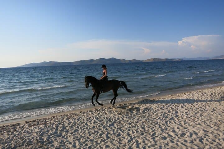 Horseback on Kos Beaches: 45-Min Aegean Shore Ride with Instructor