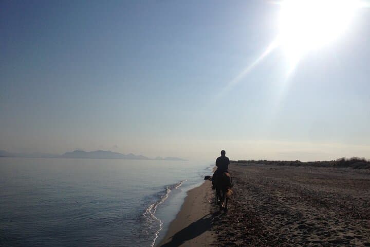 Horseback on Kos Beaches: 45-Min Aegean Shore Ride with Instructor photo 2