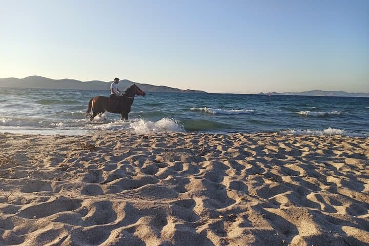 Horseback on Kos Beaches: 45-Min Aegean Shore Ride with Instructor photo 3