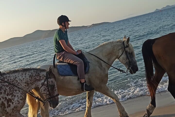 Horseback on Kos Beaches: 45-Min Aegean Shore Ride with Instructor photo 4