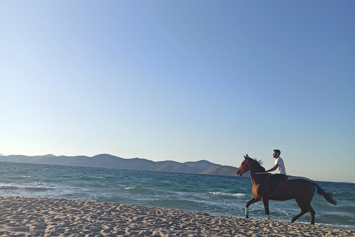 Horseback on Kos Beaches: 45-Min Aegean Shore Ride with Instructor photo 6