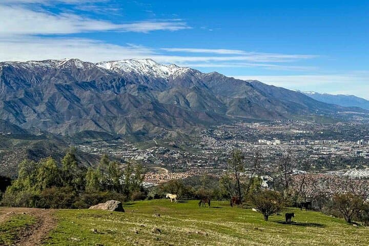 Half-Day Andes Hike from Santiago — Cerro Manquehue Picnic Trail