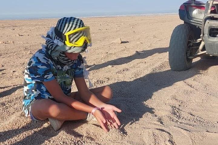 Private Hurghada Desert Quad Bike and Camel Safari with Bedouin Tea photo 3