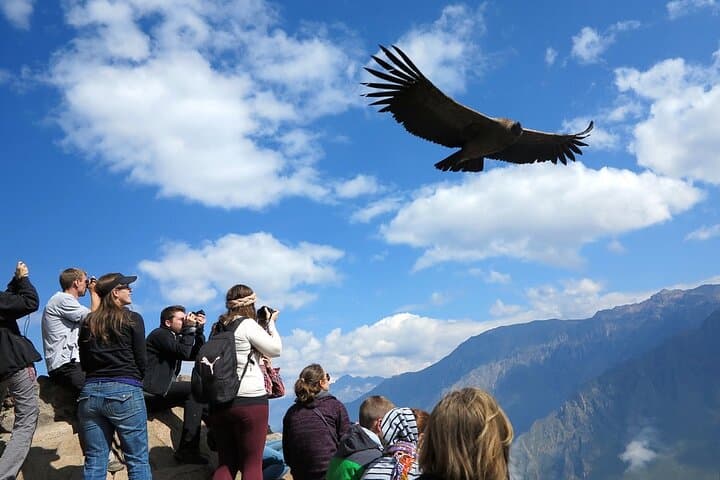 Puno to Colca Canyon in 2 Days: Condors, Hot Springs & Andean Villages