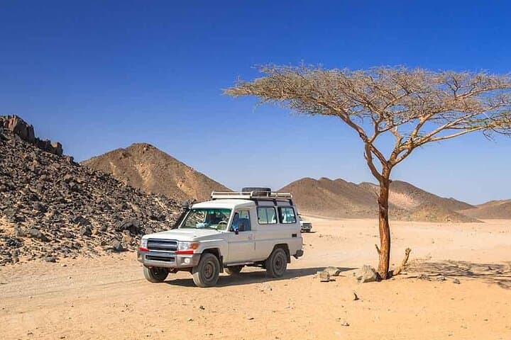 Hurghada Sahara Jeep Safari: Quad Riding, Camel Trek & Bedouin Dinner photo 2