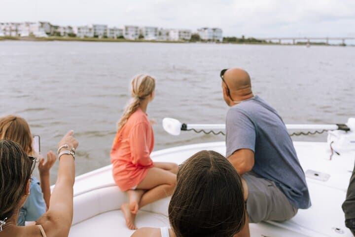 Private Charleston Dolphin Tour: 2-Hour Harbor Cruise to Spot Dolphins & Historic Sights photo 3