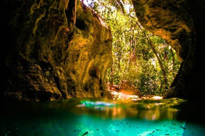 Dunn's River Falls & Green Grotto Caves Private Transfer — Ocho Rios Day Combo