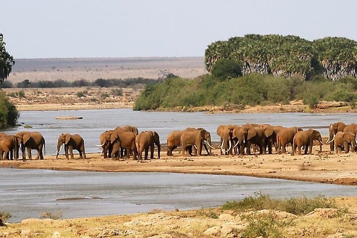 Two-Day Hluhluwe‑iMfolozi and iSimangaliso Safari: Big Five, Hippo Cruises & Coastal Game Drives