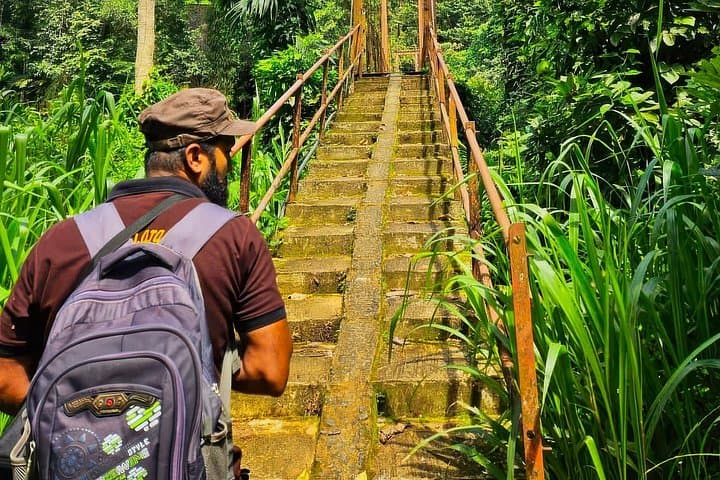 Full-Day Sinharaja Rainforest Trek from Hambantota: Wildlife, Waterfalls & Guided Walks photo 3