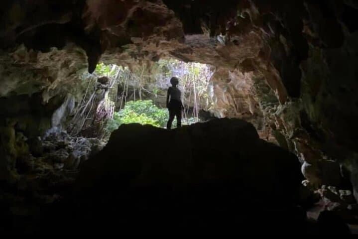 Guayaney Spring Cave Adventure: Taino Petroglyphs, Karst Forests & Crystal Springs in Puerto Rico