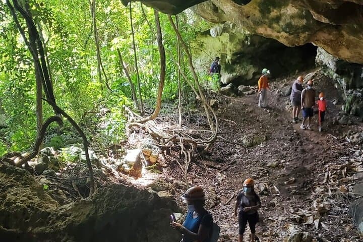 Guayaney Spring Cave Adventure: Taino Petroglyphs, Karst Forests & Crystal Springs in Puerto Rico photo 2