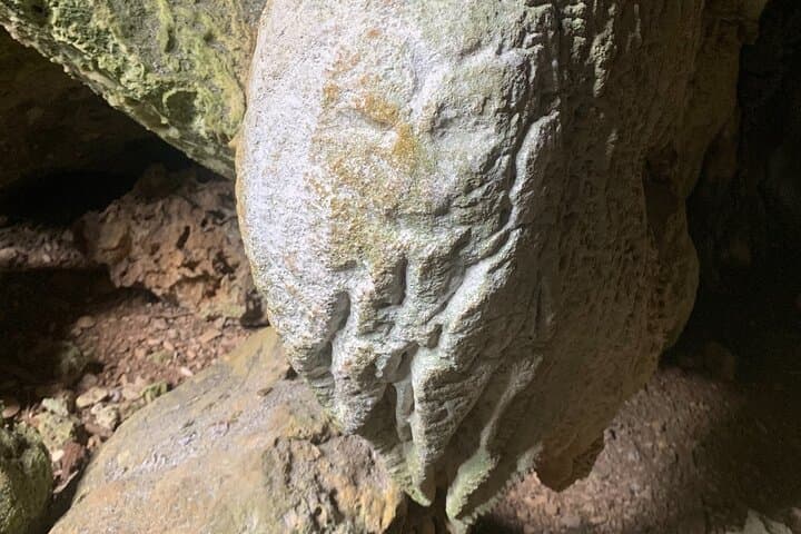Guayaney Spring Cave Adventure: Taino Petroglyphs, Karst Forests & Crystal Springs in Puerto Rico photo 6