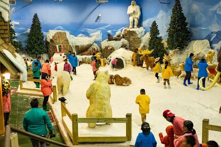 Bangkok Dream World Super Visa Package — Complete Visitor's Guide photo 5