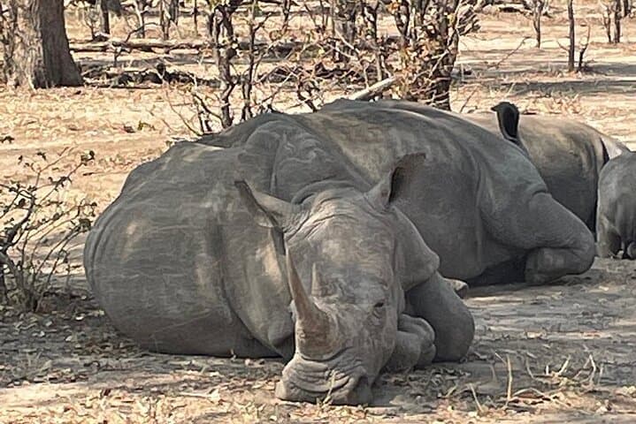 Both Sides Victoria Falls & Rhino Walk: Livingstone Combo Safari