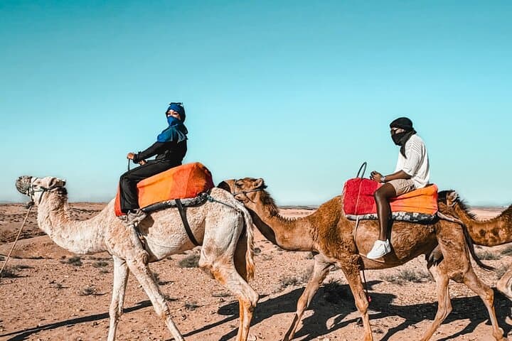 Agafay Desert Camel Ride & Traditional Dinner: Evening Experience from Marrakech photo 2