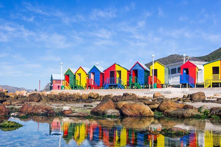 Cape of Good Hope & Boulders Beach Shared Tour — Cape Town Day Trip photo 5