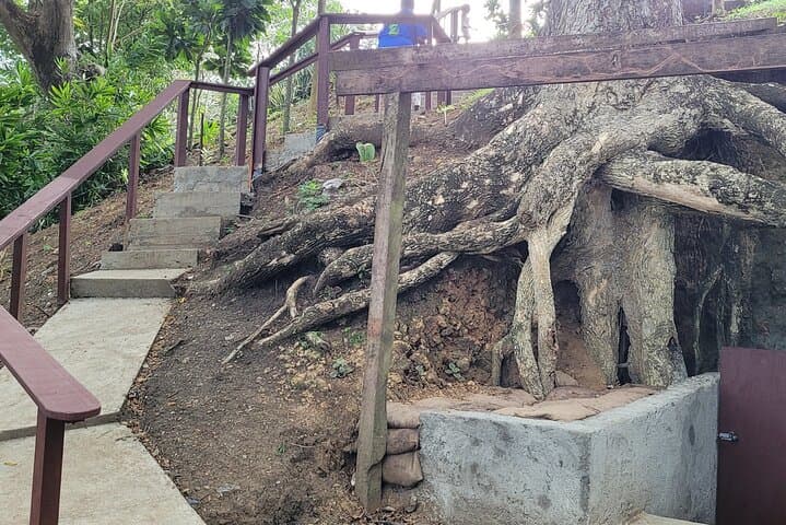 Guadalcanal WWII Battlefield Tour from Honiara: East Honiara Historic Sites photo 6