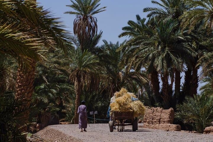 4-Day Sahara Desert Adventure from Marrakech — Camel Trek & Star-Camp Nights photo 4