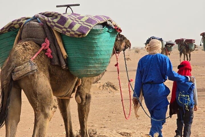 4-Day Sahara Desert Adventure from Marrakech — Camel Trek & Star-Camp Nights